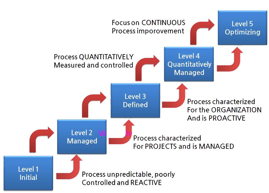 TMM Model