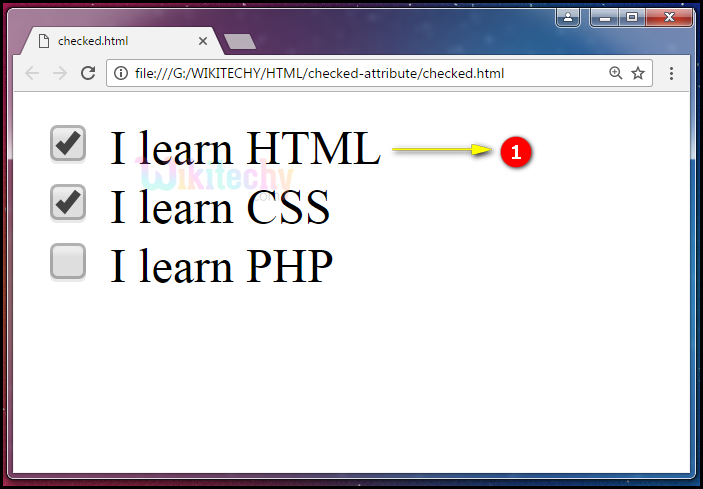 checked Attribute Tag Output