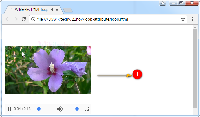 loop Attribute Output
