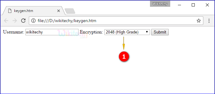 <keygen> Tag Output